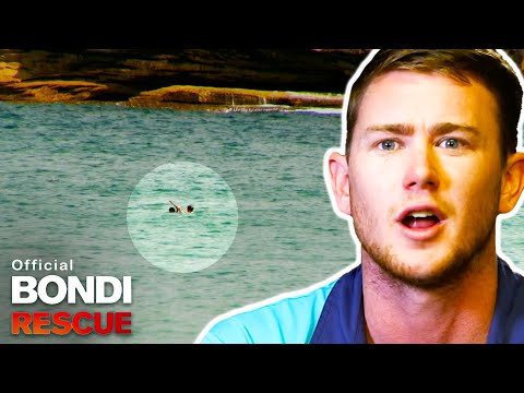 Rip Pulls Couple 500m Out to Sea