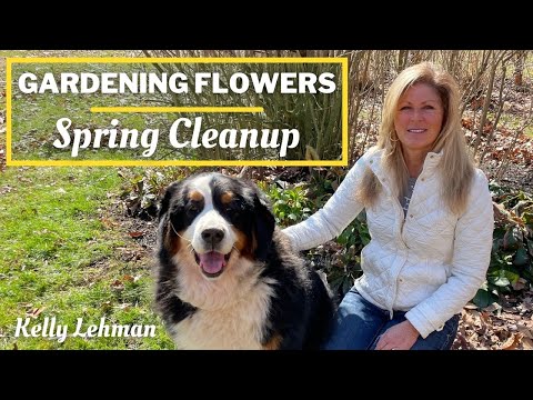 Video: Lente je tuin op de juiste manier schoon – wanneer moet ik mijn tuin opruimen?