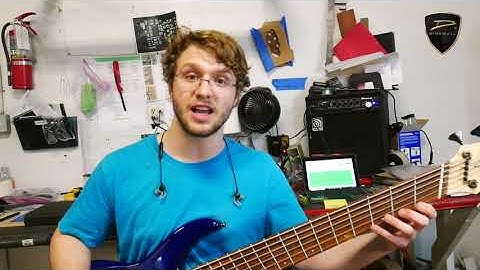 Dingwall import set up and inspection shop