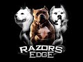 THE HISTORY OF THE RAZORS EDGE PIT BULL - AMERICAN BULLY BLOODLINE