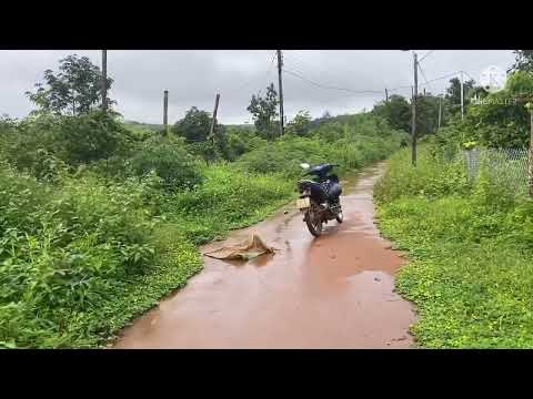 Video M16 diện tích 1ha giá 1 tỷ 400tr thôn 7 đất trồng full... - youtube