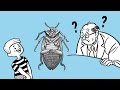 Wittgenstein's Beetle in a Box Analogy