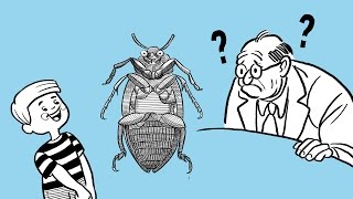Wittgenstein's Beetle in a Box Analogy
