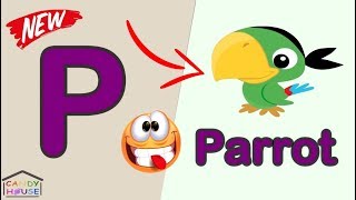 Phonics - The Letter P | كورس الصوتيات - تعلم نطق الحروف الانجليزية بشكل صحيح - P تعليم الاطفال حرف