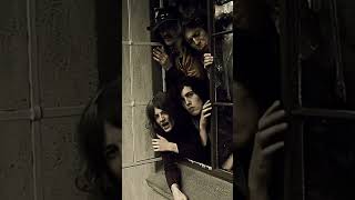 ZEPPELIN Photoshoot on a WINDOW! #ledzeppelin #band #original #brunoduprat #robertplant #ai #jimmy