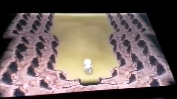 Pokemon Omega Ruby how to catch Regirock,Regice,and Registeel