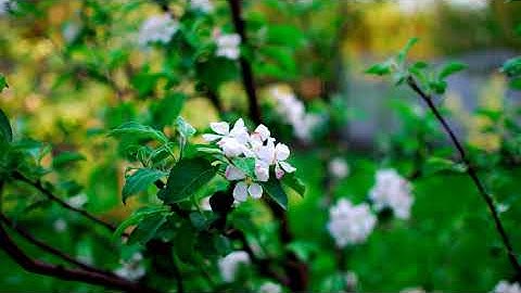 Colour grading with Davinci Resolve