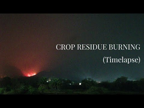 Crop residue burning | Timelapse