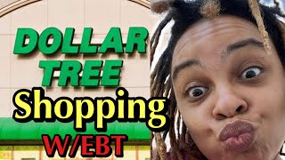 What can I buy with food stamps at the dollar tree for my large family | Grocery Haul large family |