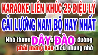 Karaoke Liên Khúc 25 Điệu Lý Cải Lương Nam Bộ Hay Nhất 2023 | Tuyển Tập Các Điệu Lý Yêu Thích Nhất