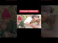 THE BUSH COMEDIANS 