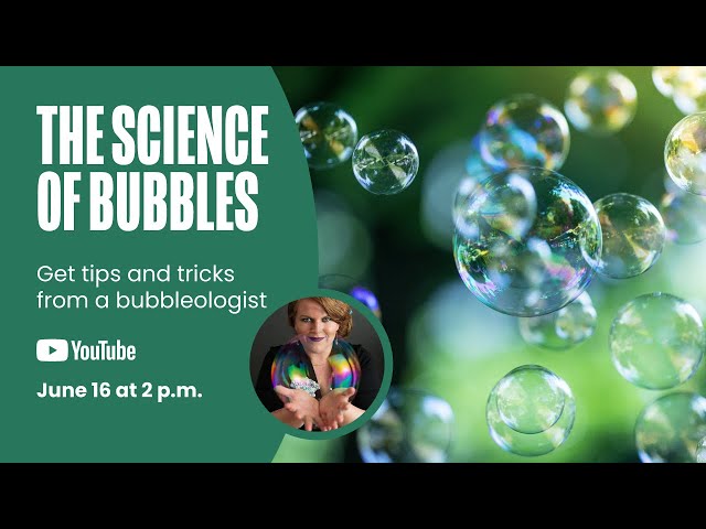 The Science of Bubbles - CuriOdyssey