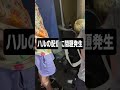 ImperialHalの配信ソフトを直すには、プロ配信者が何人必要なんだろう... ？ #apex #shorts