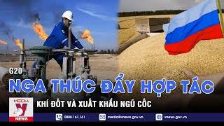 Thời sự 8h sáng ngày 11\/11 - Tin nóng Thế giới mới nhất - VNEWS