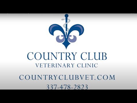 Veterinarian Lake Charles, Sulphur, WestLake | Country Club Veterinary  Clinic