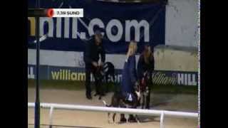 Sunderland greyhound stadium - Nanas Queen