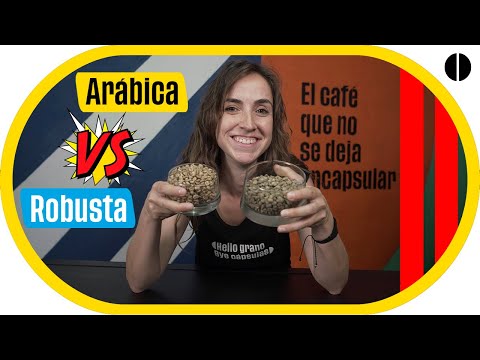 ☕ Café Arábica vs Café Robusta | Las principales diferencias