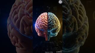 How Does the Brain Store Memories? 🧠🤯 | Memory Science Explained #shorts #humanbrain #brainfacts