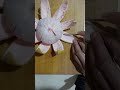 Easy How to design grapefruit #amazing #fruit #decorate #design #art #style #shorts #viralvideos