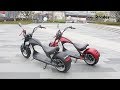 5 Best Rooder Harley Citycoco Electric Scooter To Buy 2019