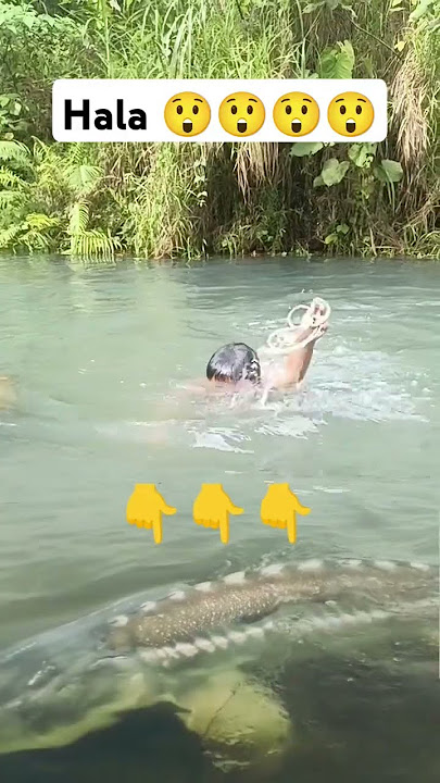 hala 😲😲😲 #snake #funnyanimal #amazing #funny