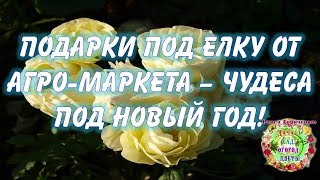 Подарки под елку от Агро Маркета -  чудеса под Новый год!