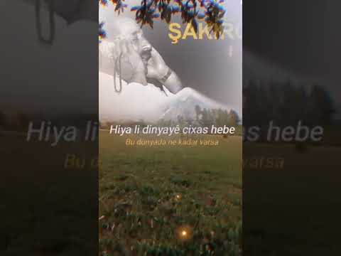 Dengbej şakiro