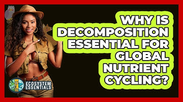 Why Is Decomposition Essential For Global Nutrient Cycling? - Ecosystem Essentials