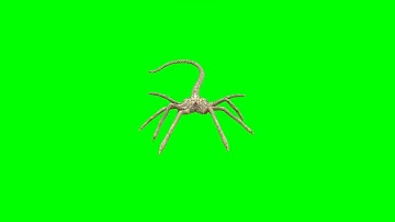 gmod  stop motion helper facehugger test