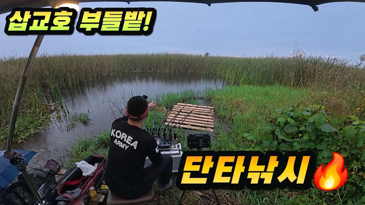 [츙남 당진권] 삽교호 부들밭 붕어낚시#문기어#불당동강성구#슬로우찌#국제아르스#백석동육향정#두정동리틀방콕