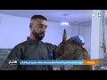 بفضل المبادرة الشاب ابراهيم بكاري يحقق حلمه بإنشاء مشروع لتربية الأرانب بوجدة 