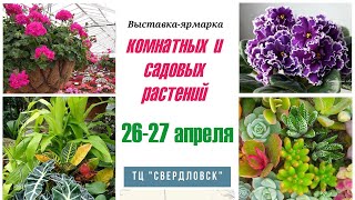 Выставка комнатных и садовых растений 26-27 апреля 2024. Екатеринбург
