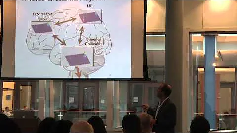 Neurobiological Foundations of Economic Choice - Professor Paul Glimcher
