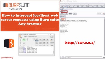 How to intercept localhost traffic with Burp Suite