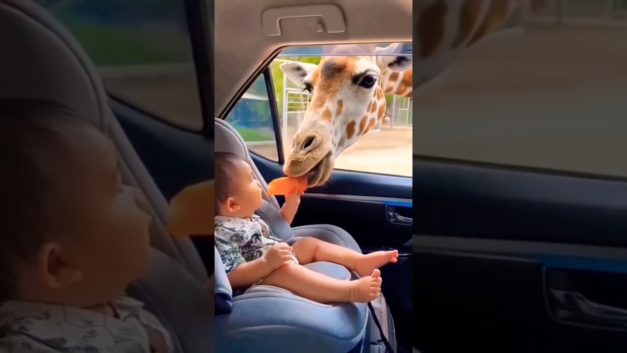 Хорошо, что ребенок в безопасности 👶❤️😱