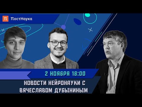 Новости нейронауки #1 с Вячеславом Дубыниным / Рубка ПостНауки