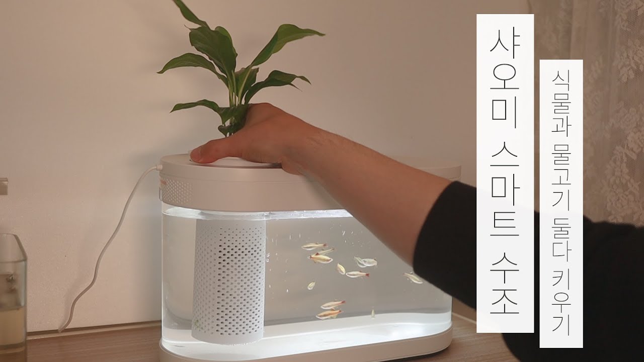 Акваферма Xiaomi Geometry Mini Lazy Fish