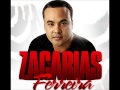zacarias ferreira 2011 megamix (DJ ALEX EL BAMBINO)