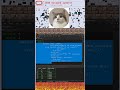 Characters that must be escaped in JSON