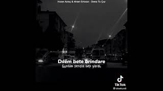 Hozan Aytaç Ahsen Ertosun Dema Tu Çuy