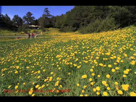 蘇芮 JULIE ) 變