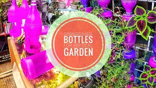 Bleach plastic bottles as plant pots? | vertical garden