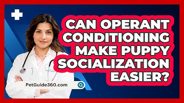 Can Operant Conditioning Make Puppy Socialization Easier? - PetGuide360.com