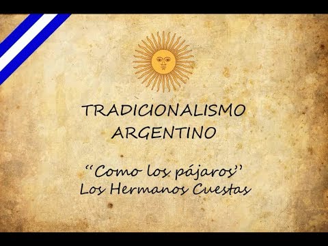 Como los pájaros