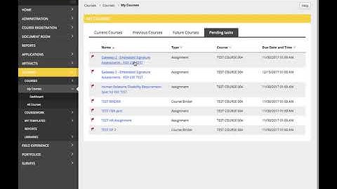 How to Complete Embedded Signature Assessments in Tk20