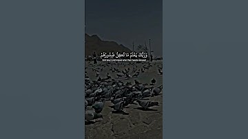 ماتيسر من سورة القصص( فأما من تاب وآمن وعمل صالحا فعسى أن يكون من المفلحين)#ياسر_الدوسري #quran