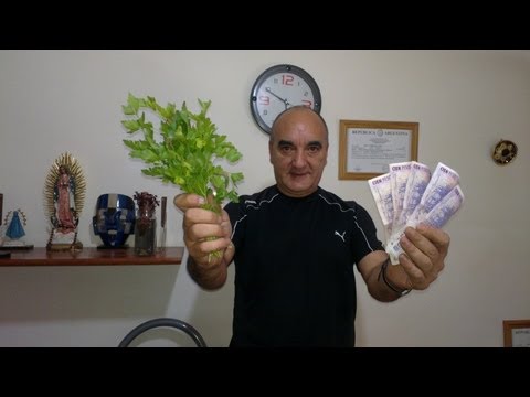 PEREJIL PARA ATRAER DINERO