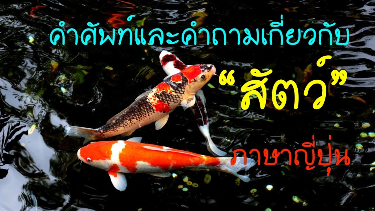 คําศัพท์ภาษาญี่ปุ่น หมวดต่างๆ  New  คำศัพท์และคำถามเกี่ยวกับ \