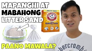 PAANO MAWALA ANG MABAHONG AMOY NG CAT LITTER SAND | HOW TO CONTROL CAT LITTER BOX ODORS