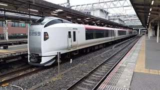 E259系0番台横クラNee005+Nee019編成 特別急行成田エクスプレス14号新宿行き 千葉駅発車シーン